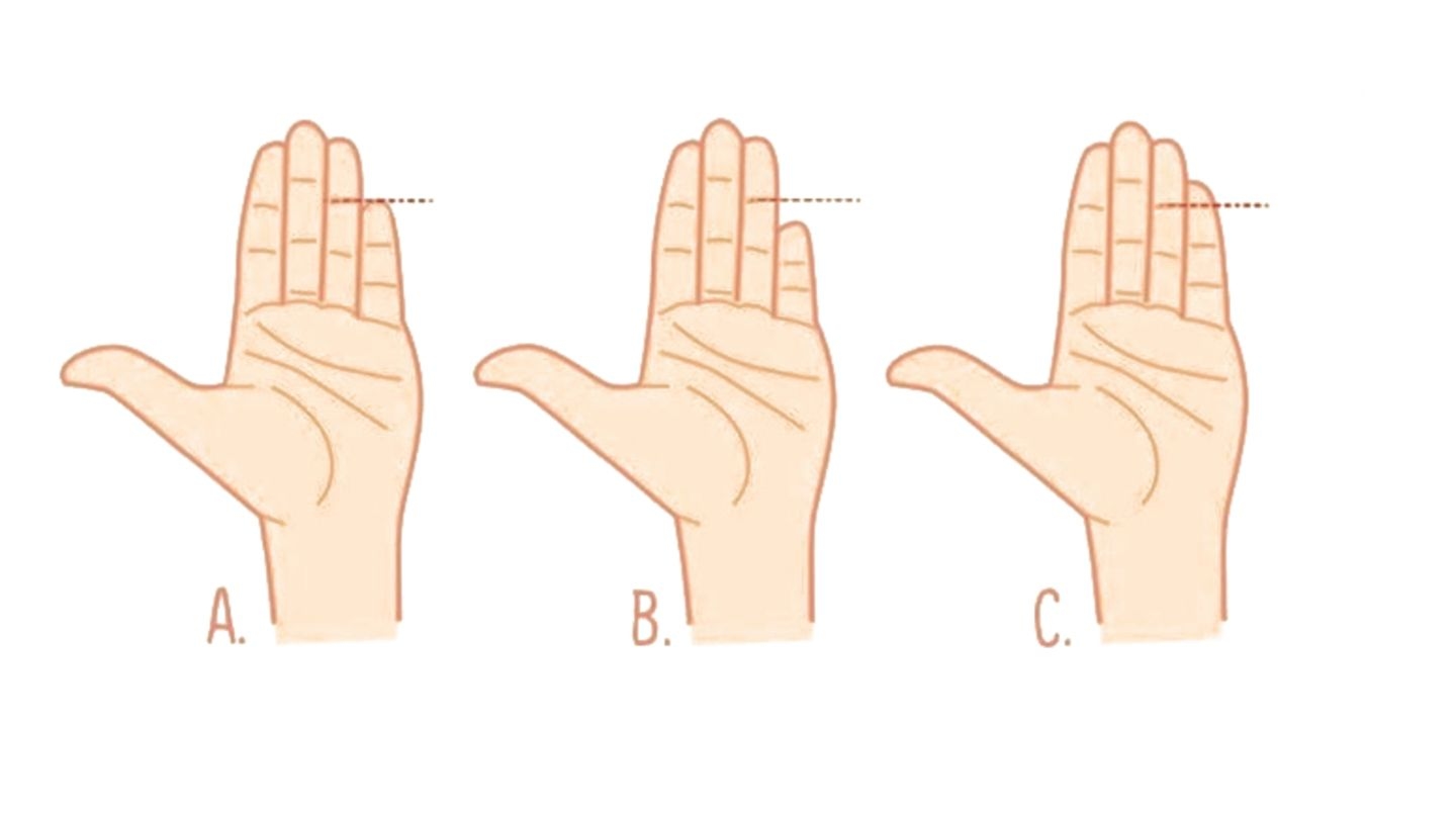 Personality test: What the length of your little finger reveals about you