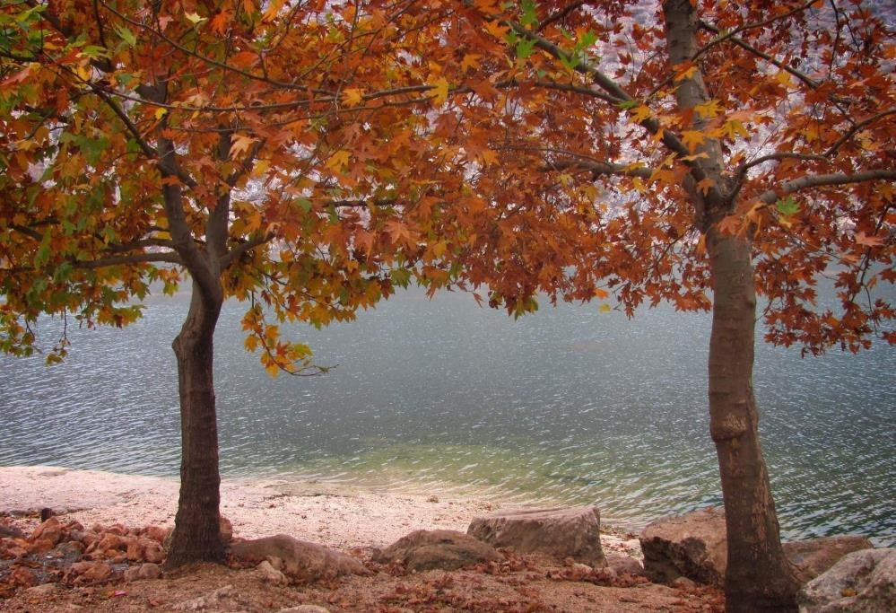 A painting-like autumn landscape on the banks of the Euphrates River