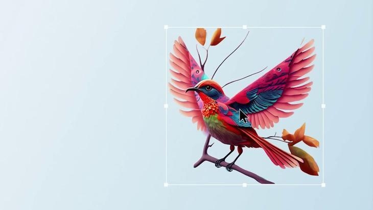Adobe Firefly uygulaması iOS ve Android için çıktı