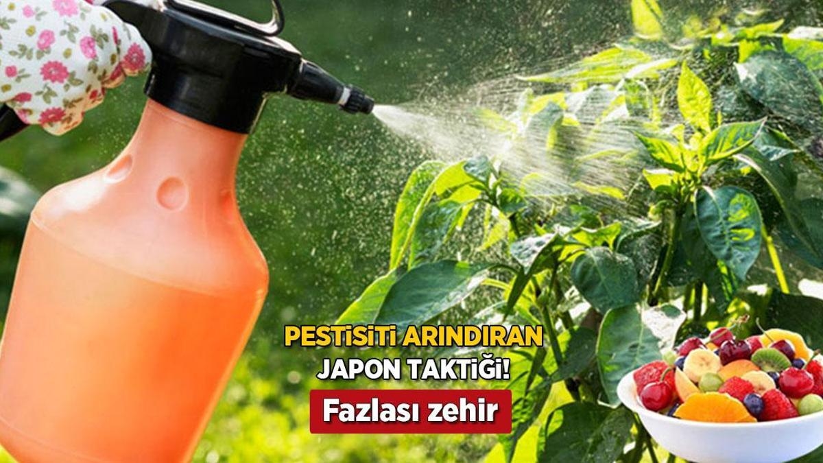 Tactique japonaise pour détruire les pesticides dans les fruits et légumes ! 2 ingrédients à la maison suffisent