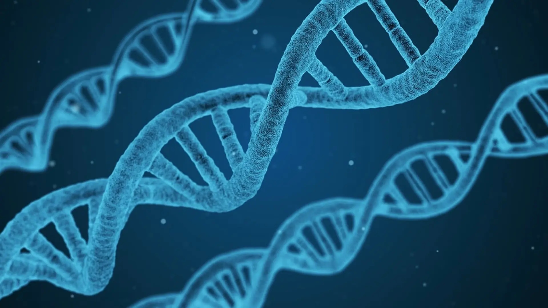 Um catálogo de cicatrizes de DNA ajudará a criar novas terapias personalizadas contra o câncer.