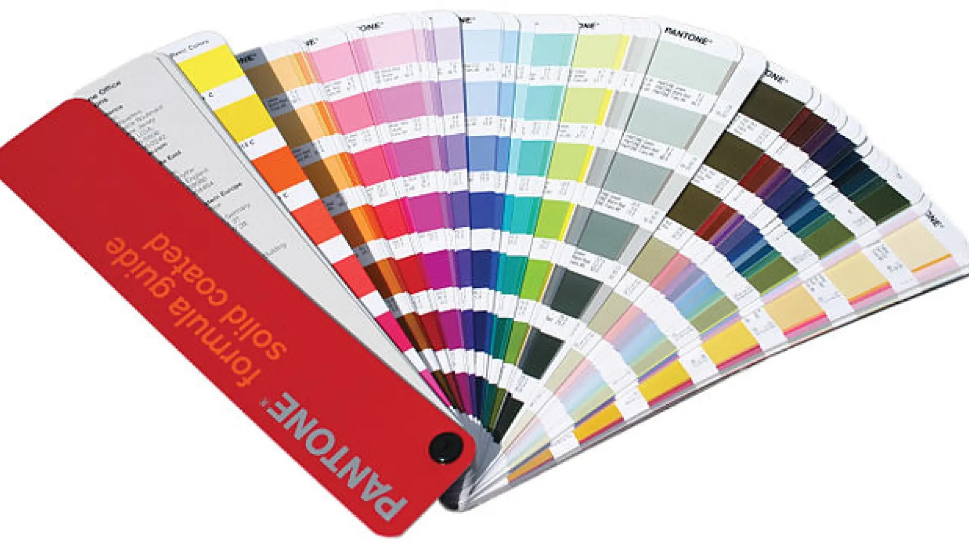 Qual è il tuo colore preferito? Ecco cosa dice della tua personalità, secondo la psicologia