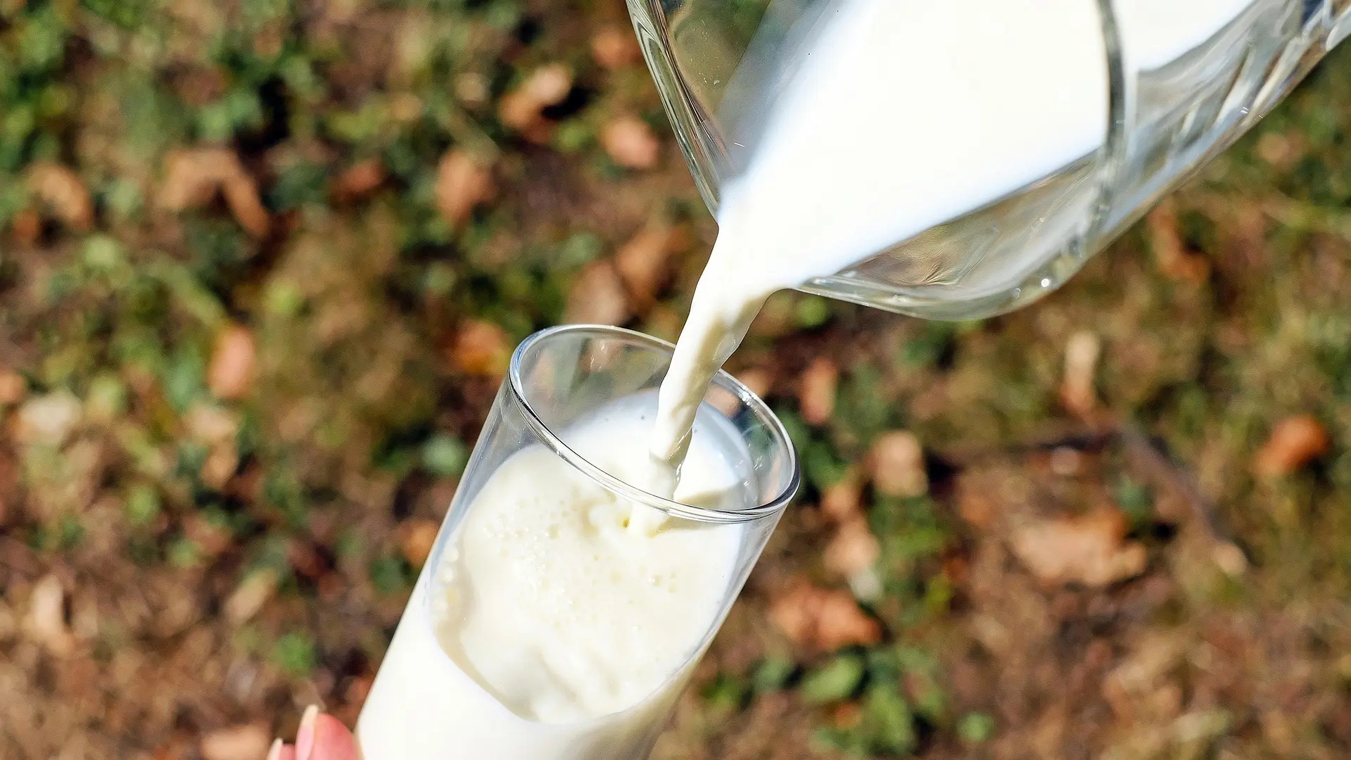 Sara Marin Berbell, arts en microbiota-expert: "Er zijn belangrijkere dingen dan het drinken van melk voor de gezondheid van de botten."