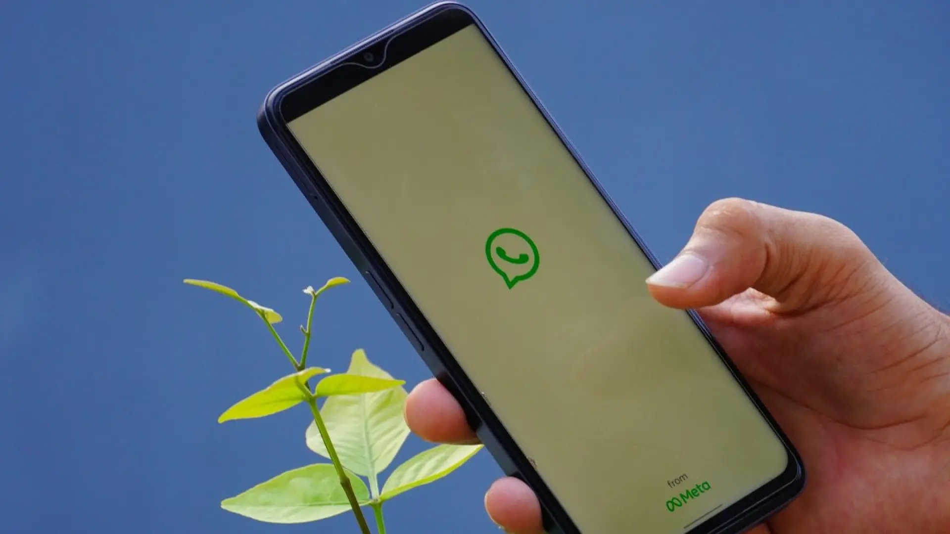 Kan de WhatsApp AI van Meta jouw berichten lezen?