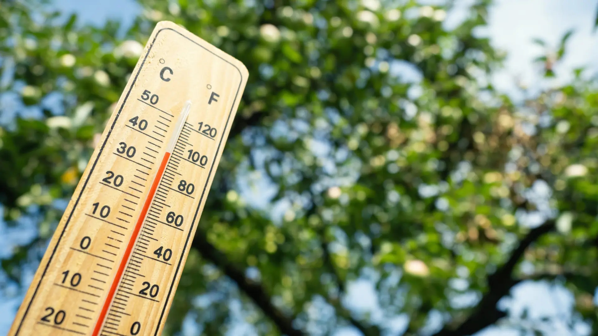How do high temperatures affect the brain? Experts offer tips to protect it.