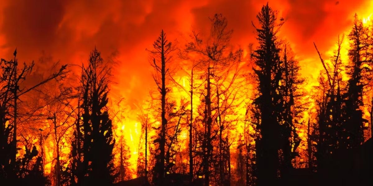 Portugal alerta por riesgo de incendios ante alza prevista de las temperaturas