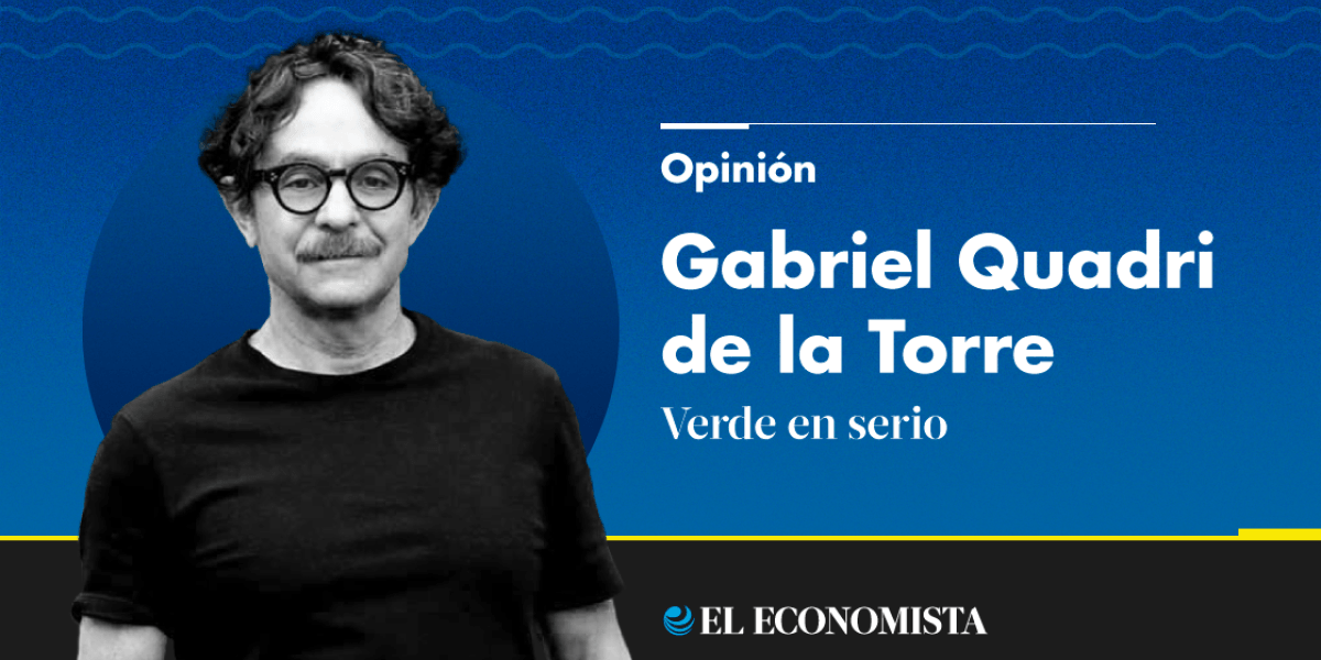 Destrucción de la Selva Lacandona, temporada final 2018-2025