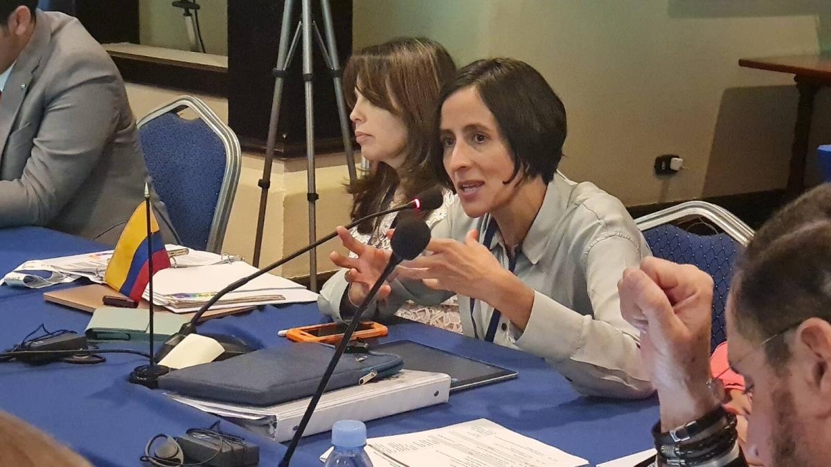 'Kadınların gündemi kadınları seçmeye hizmet etti, onları savunmaya değil': Susana Muhamad, Tarihi Pakt'taki başkanlık hedeflerinden bahsediyor