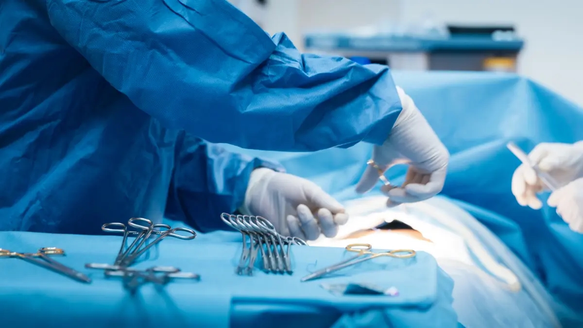 Transplantationsempfänger müssten nicht länger lebenslang Medikamente einnehmen, um eine Abstoßung des erhaltenen Organs zu verhindern.