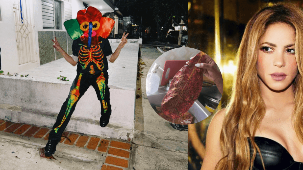 Are they selling the almond leaf that Shakira stepped on in Barranquilla?: owner clarified rumors