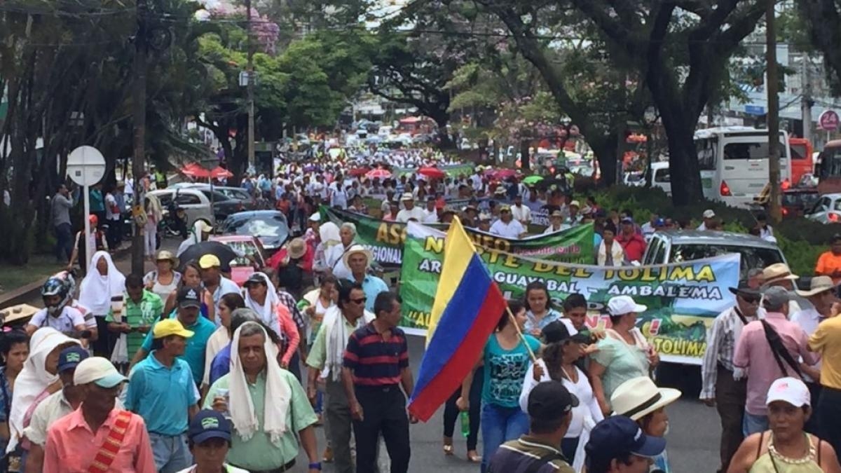 Rice strike: Congressmen call on the government to provide solutions for producers and stop blockades