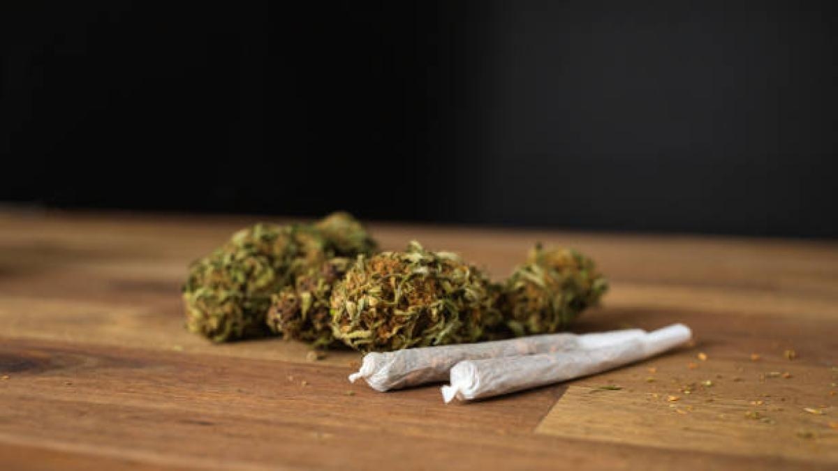 Einer Studie zufolge verdoppelt Cannabiskonsum das Sterberisiko durch Herz-Kreislauf-Erkrankungen.