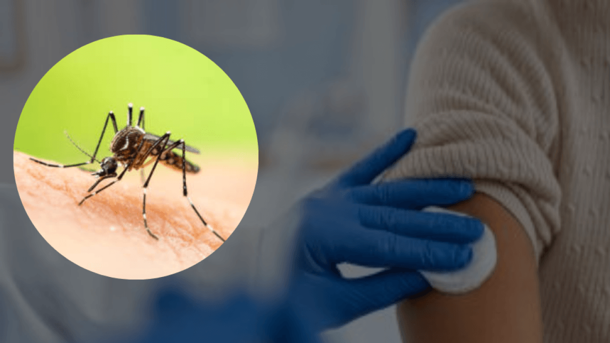 Is your yellow fever vaccination certificate not up to date? Here's how to do it