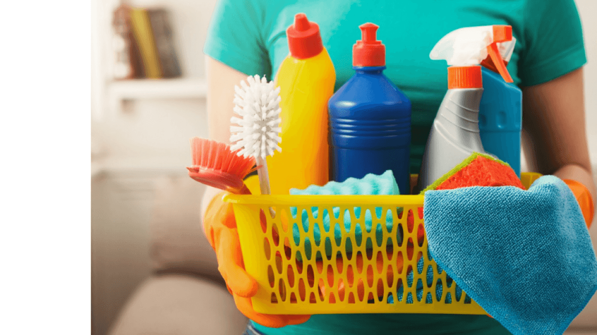 These are the most recommended D1 grooming products that are under $10,000