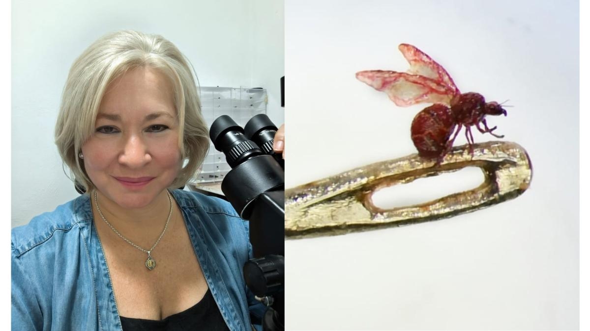 La colombiana que hace arte sobre minas de lápices, agujas y hasta pestañas; es la única microescultora del mundo