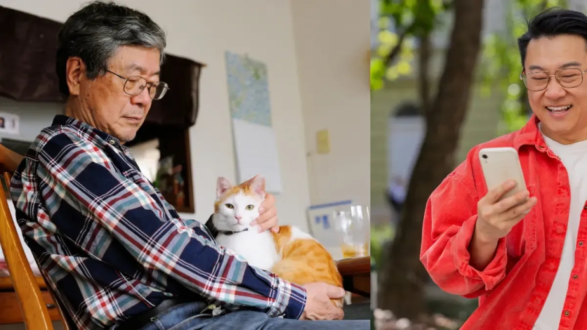 Man in China promises a million-dollar inheritance to anyone who takes care of his cat for life