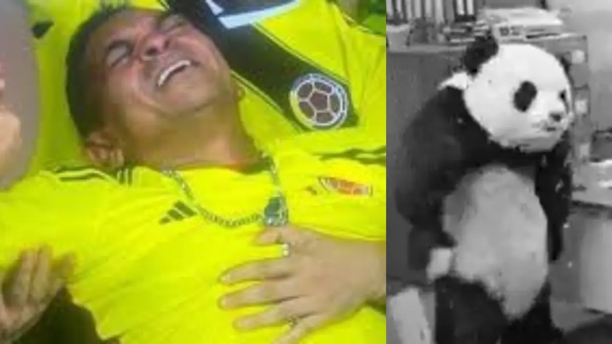 2025 Copa América Kadınlar Finali: Kolombiya ve Brezilya arasındaki maçtan en iyi anlar
