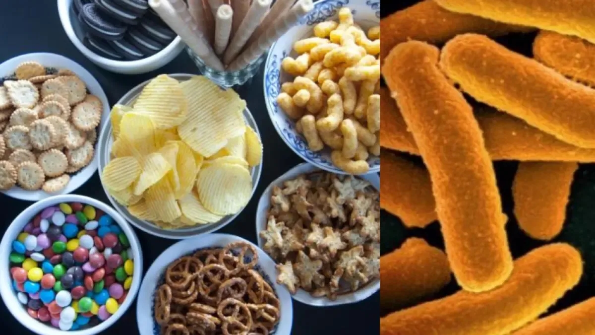 Antibiyotik dirençli bakterilerin genleri gıdalara sızıyor: Avrupa'da işlenmiş gıdaların 2.000'den fazla örneğinde buna rastlandı.