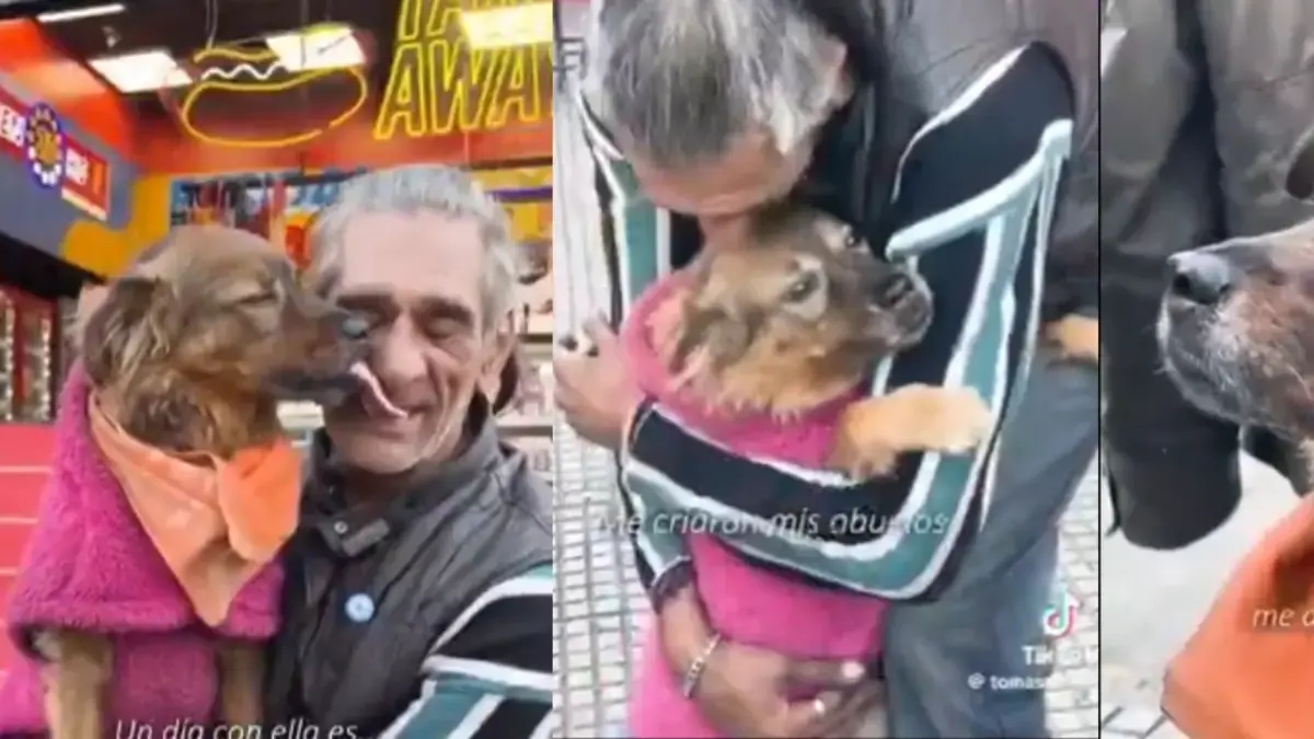 He quit drugs, overcame addiction, and started his own business thanks to Akira, his pet: "He gave me an opportunity, he opened my mind."