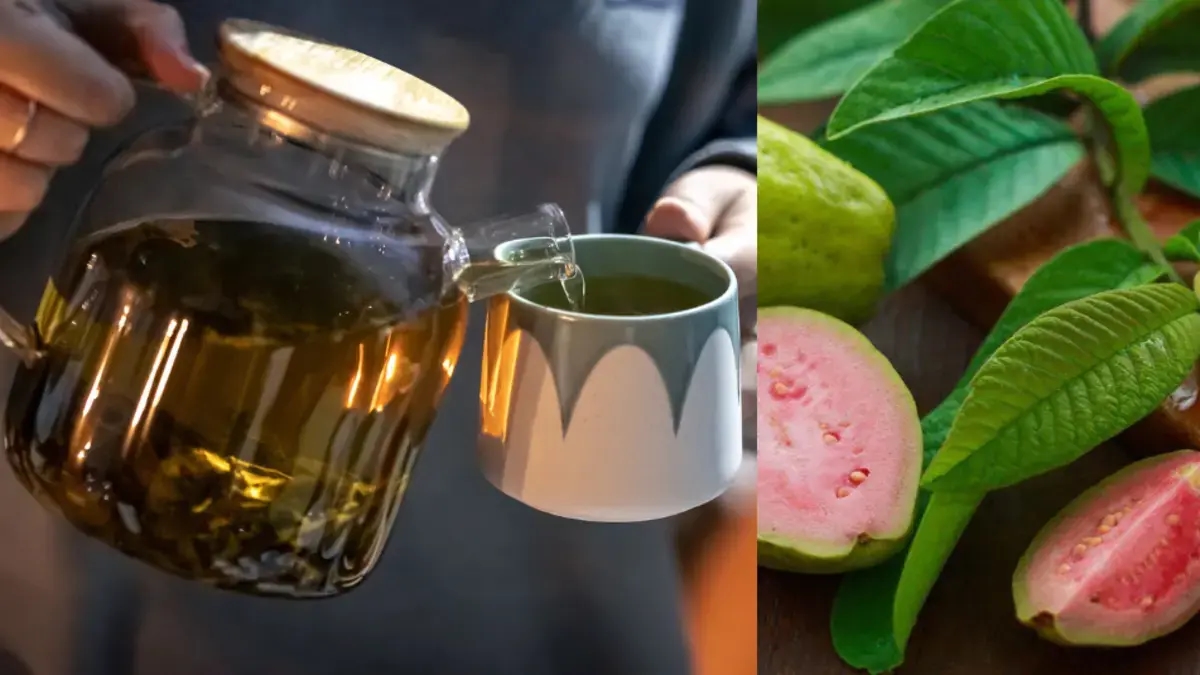 Le proprietà curative del tè alle foglie di guava: come prepararlo e a cosa serve, secondo la scienza