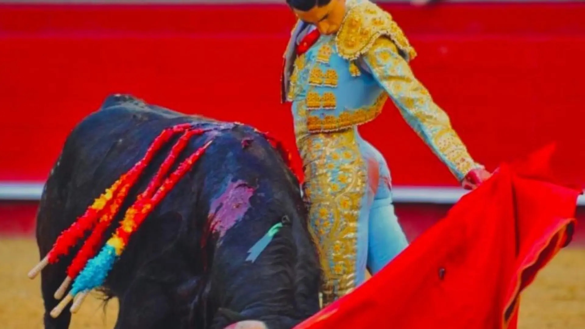 Schedule and where to watch the bullfight on May 20 at the San Isidro Bullfighting Fair for free.