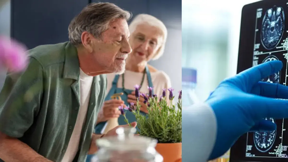 O Alzheimer tem cheiro? Um novo estudo associa o cheiro aos estágios iniciais da doença que afeta a memória.