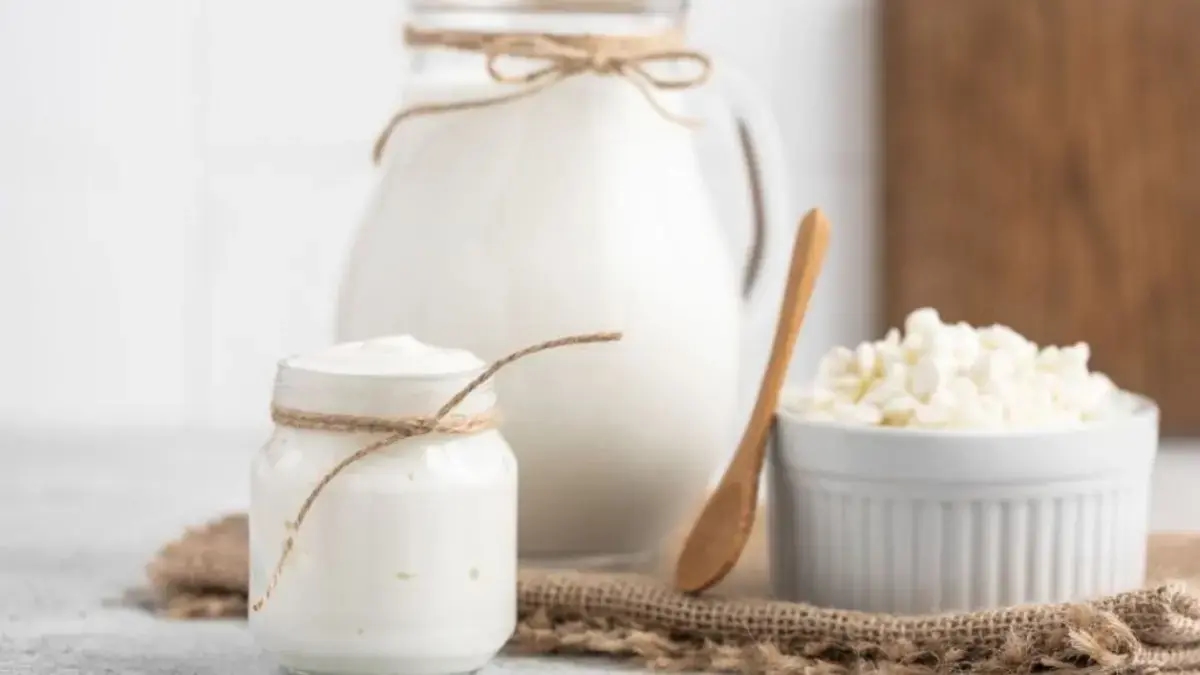 Cómo hacer queso crema de kéfir artesanal: receta paso a paso con propiedades funcionales comprobadas
