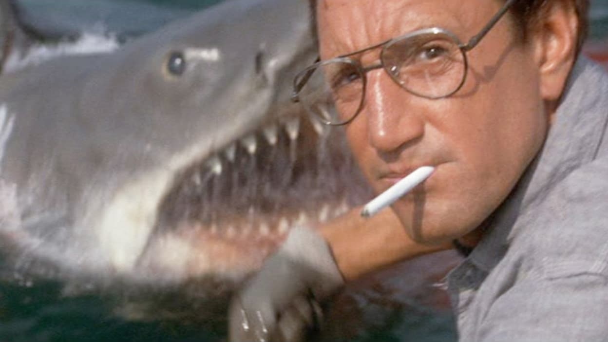 „Der weiße Hai“ wird 50: Die Geschichte des ersten Hai-Blockbusters … ohne Hai