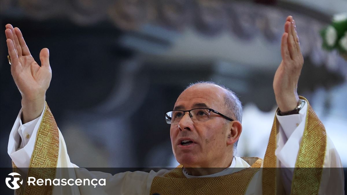 Papa XIV. Leo "mükemmel olduğu" için değil, "sevdiği" için seçildi