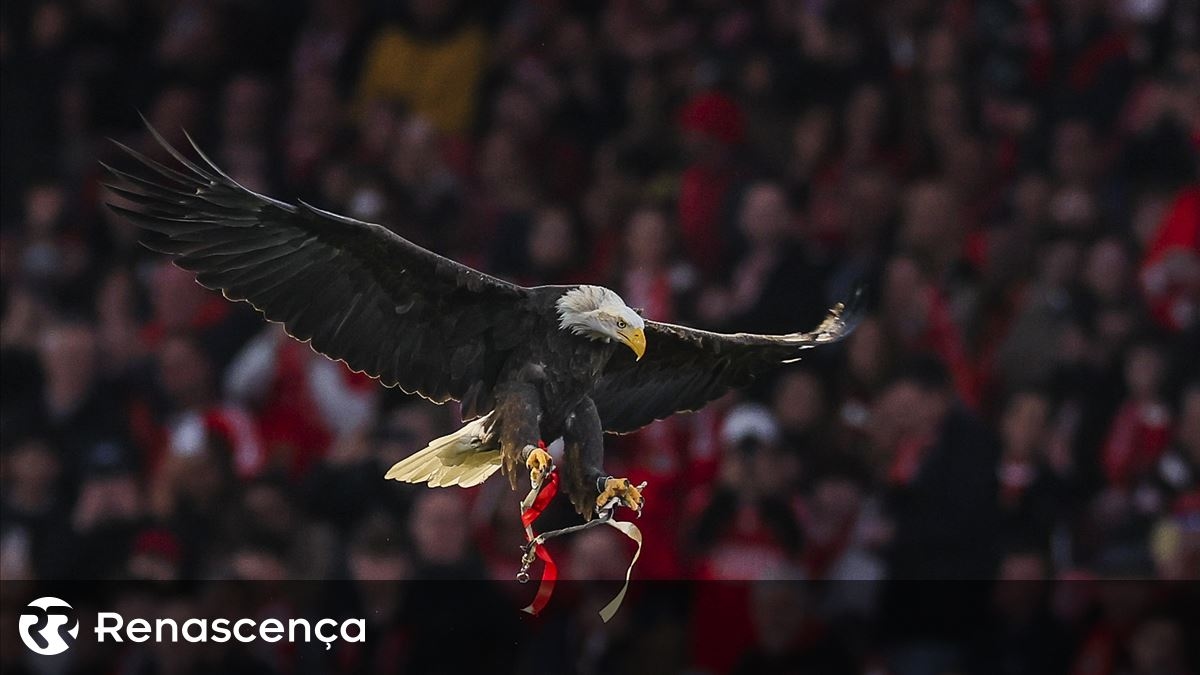 I membri del Benfica votano le modifiche allo Statuto l'8 marzo