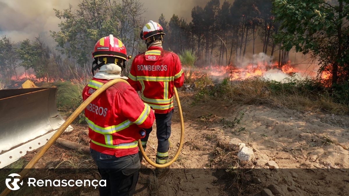 Dominado fogo em Vila Chã de Sá, em Viseu