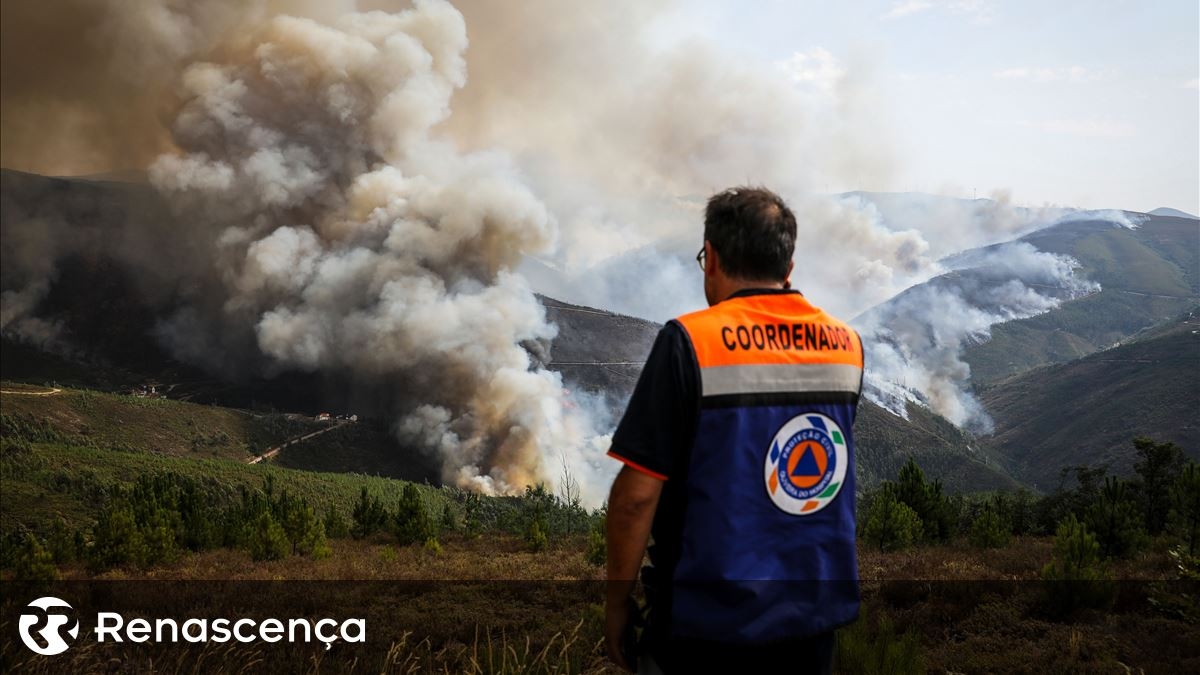 Incêndios: 20 pessoas retiradas de casa em Oliveira do Hospital
