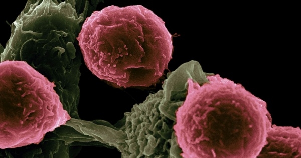Researchers have discovered new “recipes” for reprogramming cells that could help fight cancer.