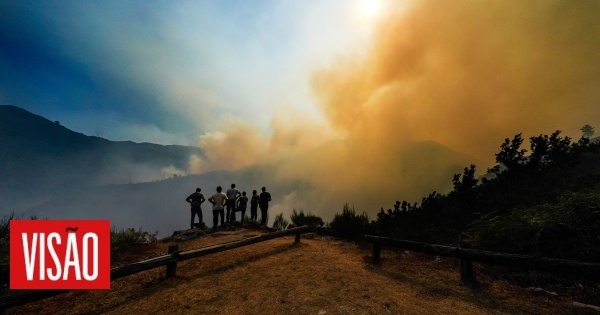 PJ de Braga deteve homem suspeito de atear 17 incêndios florestais