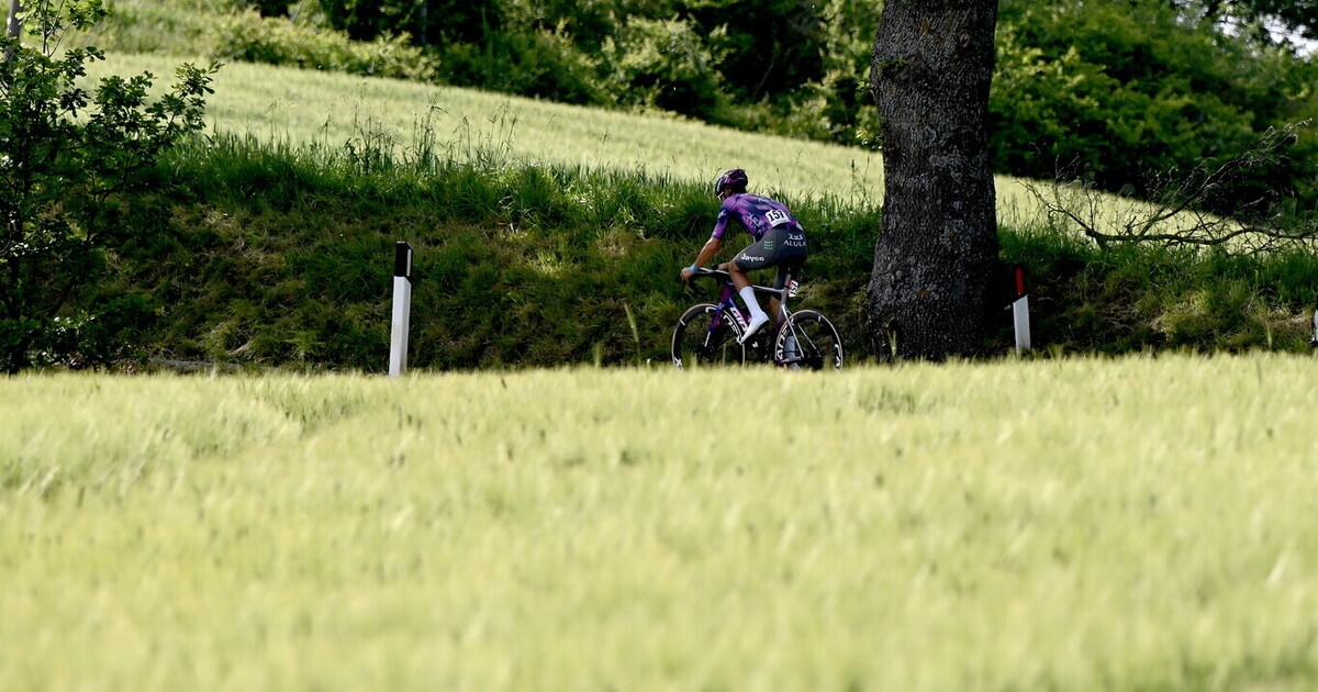 Los felices pensamientos de Plapp y Ulissi (con el maillot rosa) en el Giro de Italia