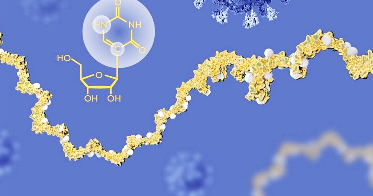 Een mRNA-gebaseerd vaccin zou het immuunsysteem kunnen helpen kanker te bestrijden