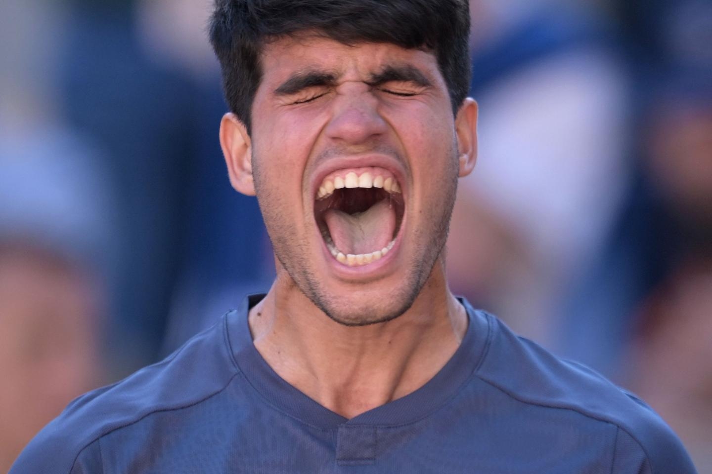 At Roland-Garros, it's the roar: will you be able to recognize the cries of the international tennis players?
