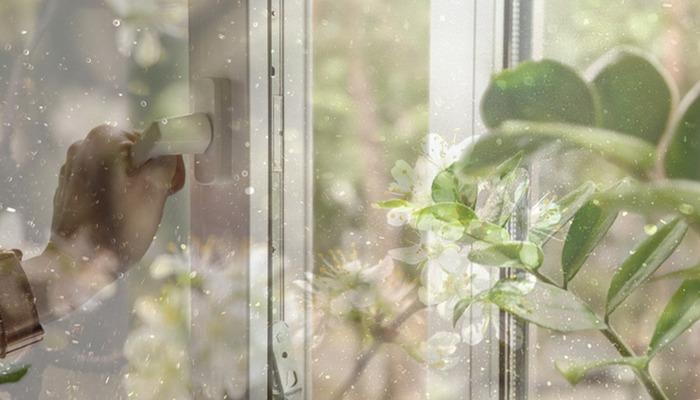 Offene Fenster im Frühling sind gefährlich! Vorsicht Pollenallergie! Experten warnen: „Allergie nicht mit Infektion verwechseln“