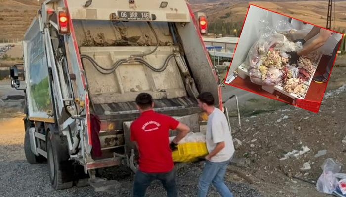Las imágenes eran repugnantes: si no los hubieran captado, los habrían alimentado al público, ¡y todos fueron destruidos uno por uno!