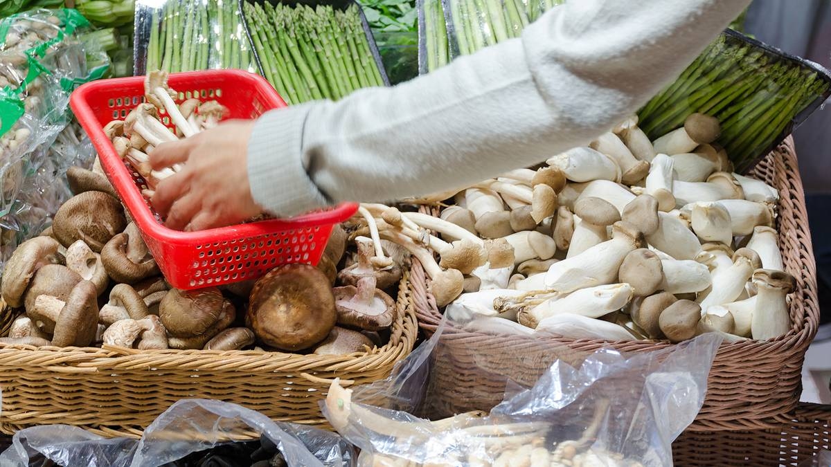 Em hipótese alguma você deve comprar esses cogumelos. Especialistas alertam.