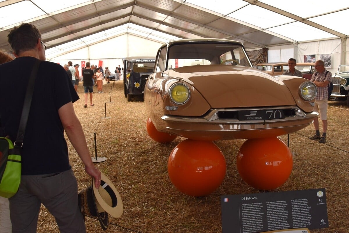 Citrodays también está en Champaubert