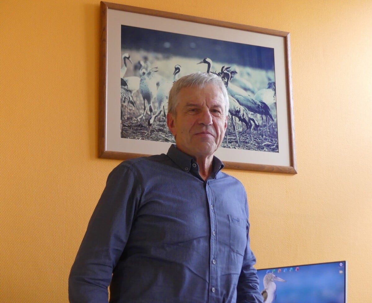 Kuş gribi: “Halkın paniğe kapılmasına izin vermeyin”