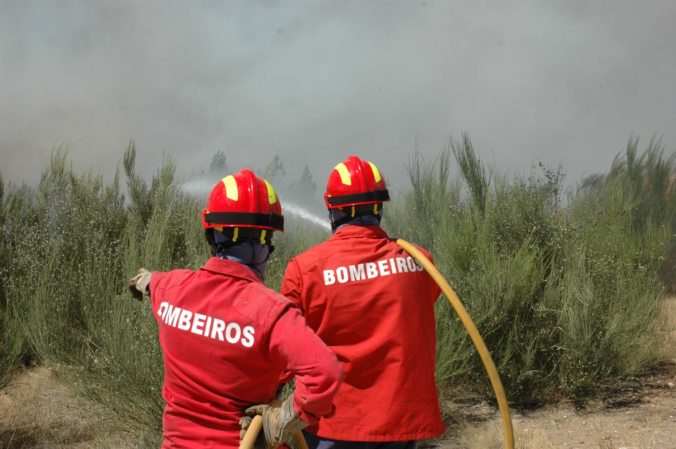 Bispo da Guarda manifesta proximidade aos bombeiros feridos e às populações ameaçadas pelos incêndios