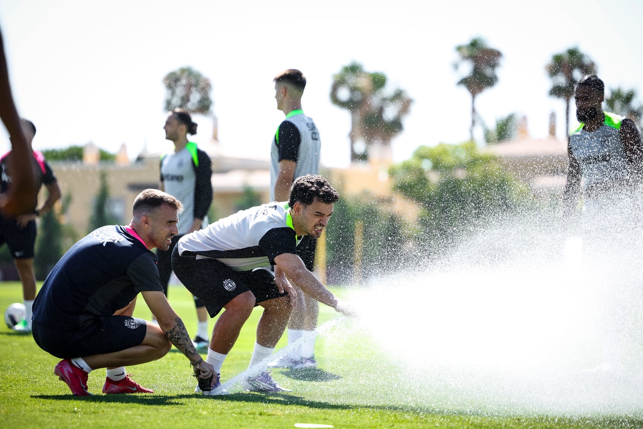 Pedro Gonçalves e Esgaio ausentes no segundo treino do Sporting em Lagos