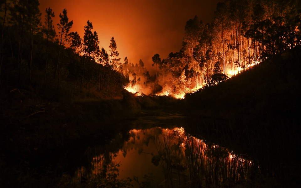 Calor extremo e incêndios. Portugal em estado de alerta até quinta-feira