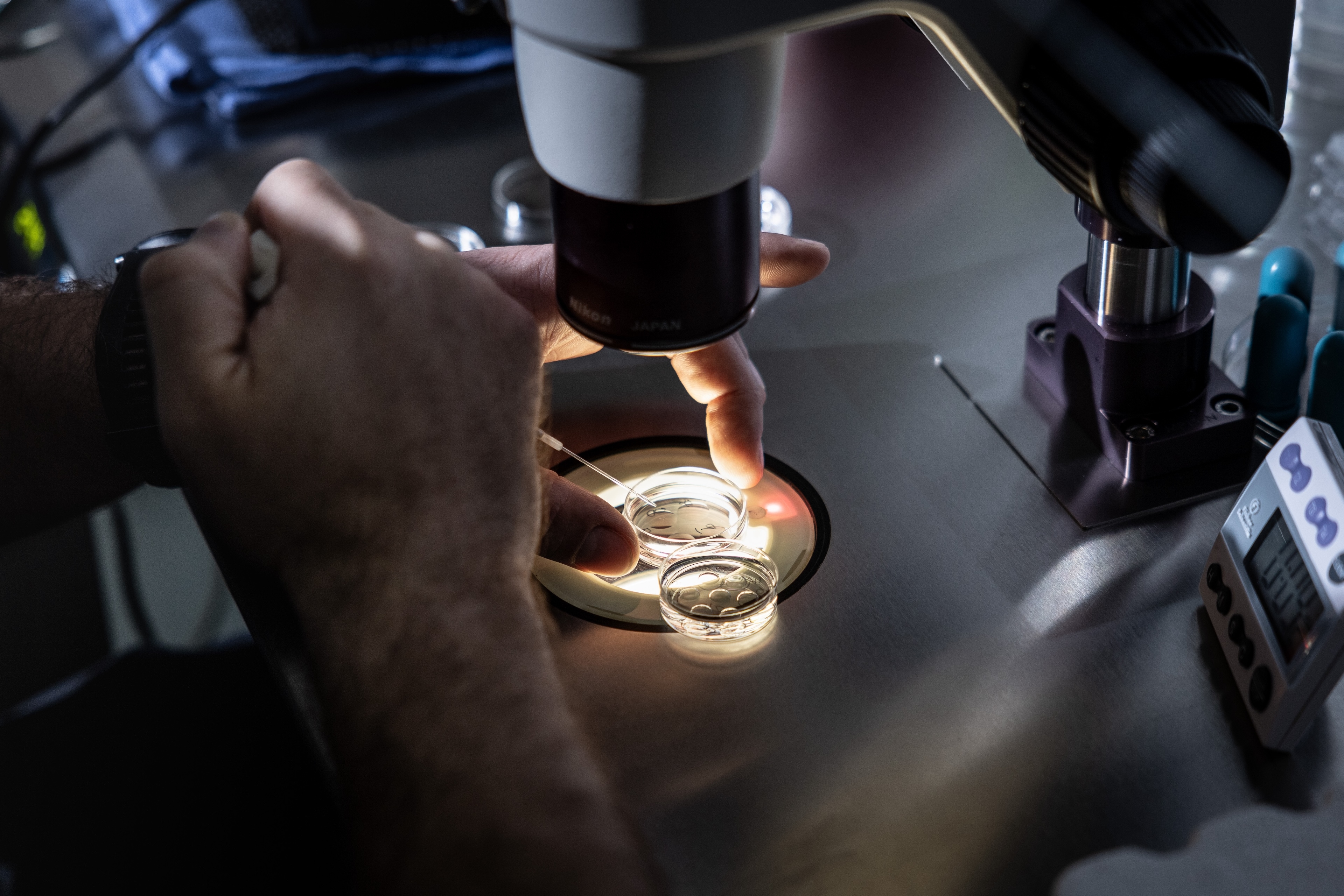 California’s Much-Touted IVF Law May Be Delayed Until 2026, Leaving Many in the Lurch