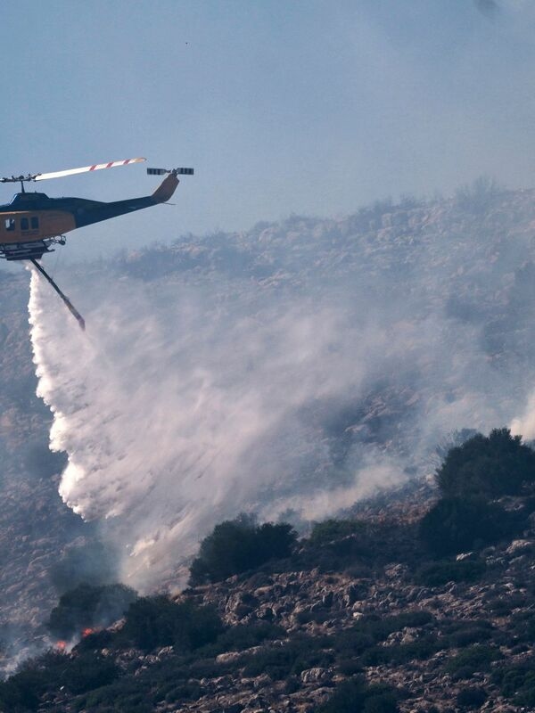 Tras varios días de lucha contra las llamas, la mayoría de los incendios en Grecia fueron completamente extinguidos.
