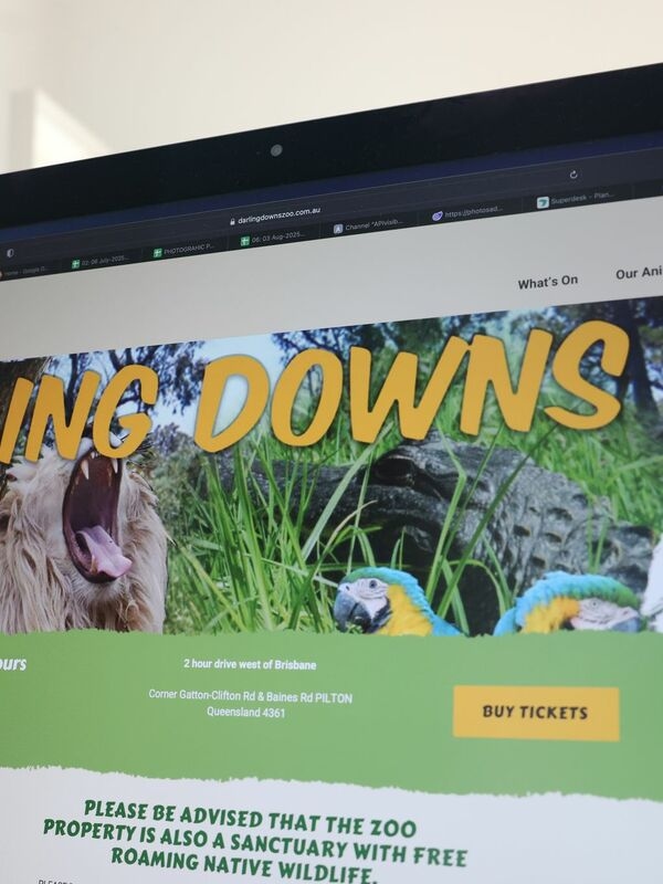 Opeens wordt een vrouw in een Australische dierentuin door een leeuw afgesnauwd.