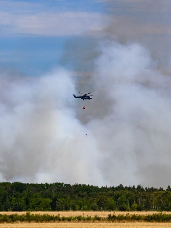 Continúa la lucha contra el incendio forestal en Gohrischheide.