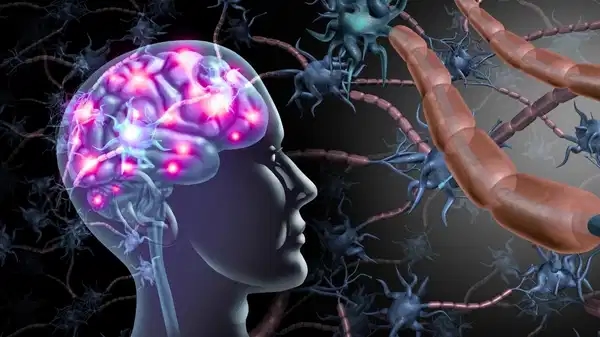 How are emotional memories engraved in the brain?